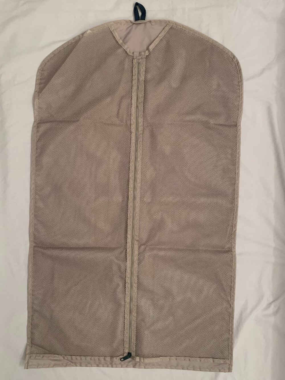 Samsonite garment/storage bag
